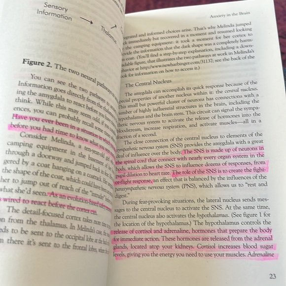 Reword your anxious brain BOOK - Picture 3 of 3